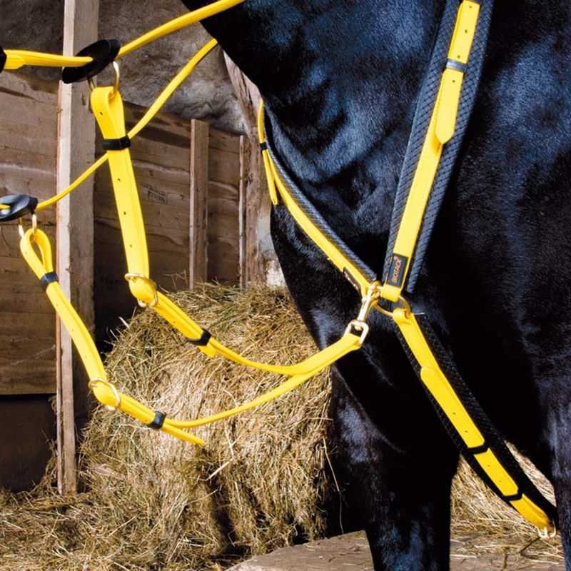 Collier de chasse Biotack T de T