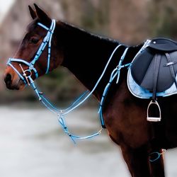 Collier de chasse Biotack T de T