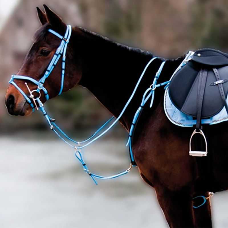 Collier de chasse LEXINGTON 5 points