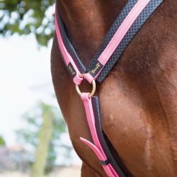 Collier de chasse Biotack T de T