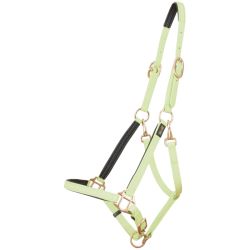 Licol Biotack T de T