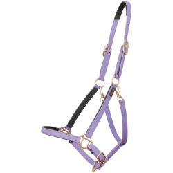 Licol Biotack T de T