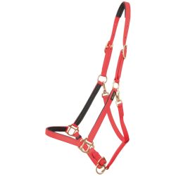 Licol Biotack T de T