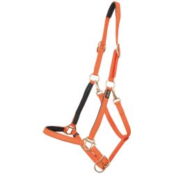 Licol Biotack T de T