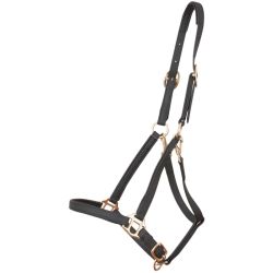 Licol Biotack T de T