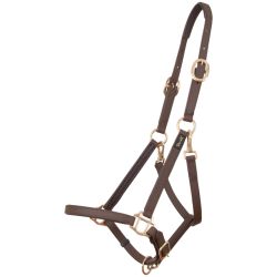 Licol Biotack T de T