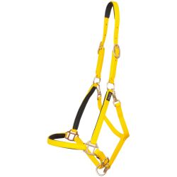 Licol Biotack T de T