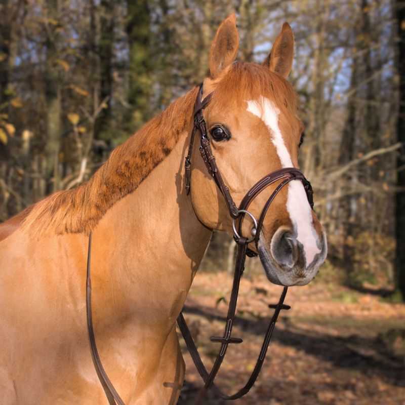Bridon à pont Manet T de T