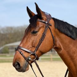 Bridon à pont Chagall T de T