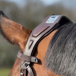 Bridon à pont Chagall T de T