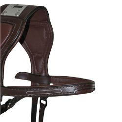 Bridon à pont Chagall T de T