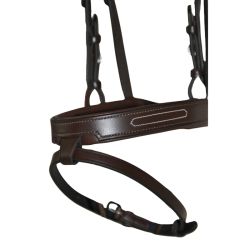 Bridon à pont Chagall T de T