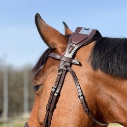 Bridon à pont Chagall T de T