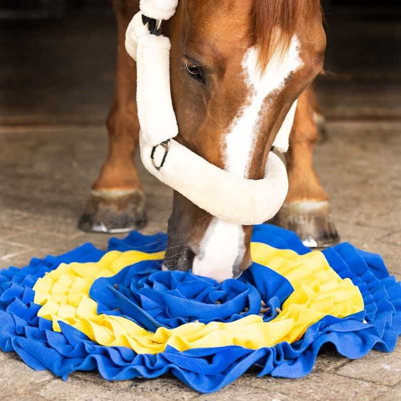 Tapis de fouille pour chevaux QHP