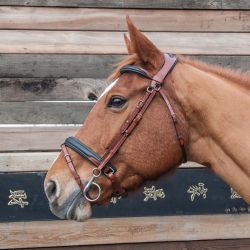 Bridon Lautrec T de T