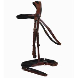 Bridon Lautrec T de T