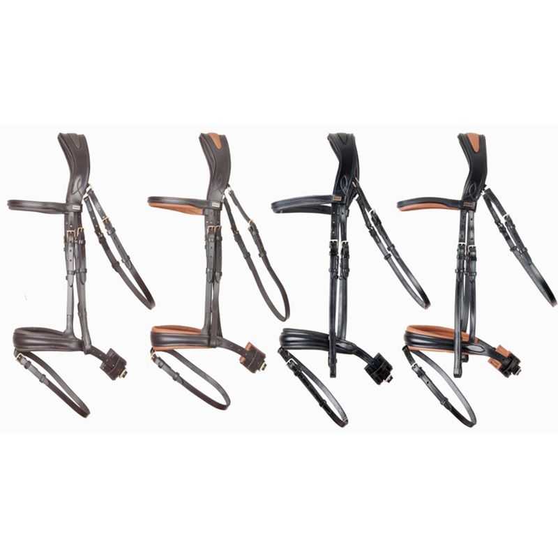 Bridon Matisse T de T