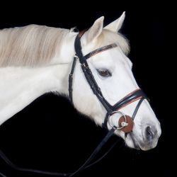 Bridon Matisse T de T