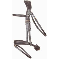 Bridon Matisse T de T