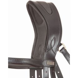 Bridon Matisse T de T