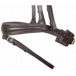 Bridon Matisse T de T