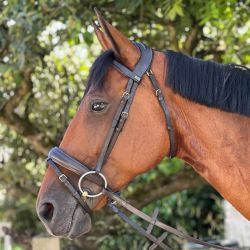 Bridon Matisse T de T