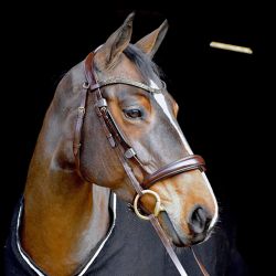 Bridon Hopper T de T