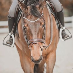 Bridon Hopper T de T