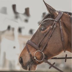 Bridon Hopper T de T