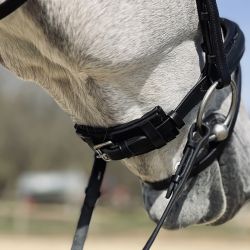 Bridon Hopper T de T