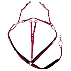 Collier de chasse Biotack T de T