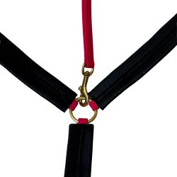 Collier de chasse Biotack T de T