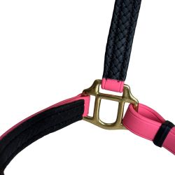 Licol Biotack T de T