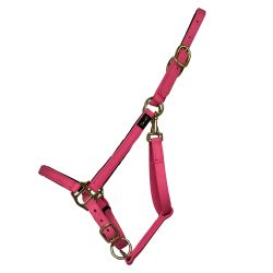 Licol Biotack T de T