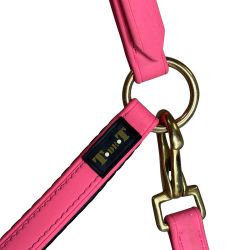 Licol Biotack T de T