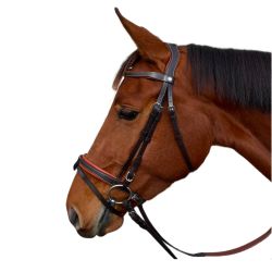 Bridon plat doublé Donatello Canter