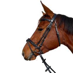 Bridon Praha Flags&Cup