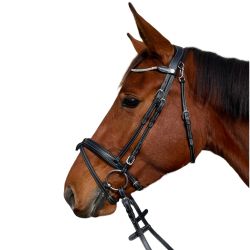 Bridon Genève Flags&Cup