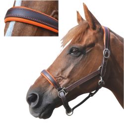 Licol cuir doublé CANTER