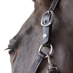 Licol cuir doublé CANTER