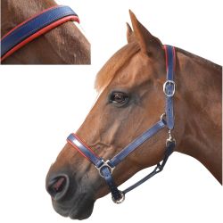 Licol cuir doublé CANTER