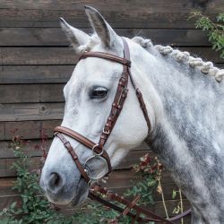 Bridon Sisley T de T