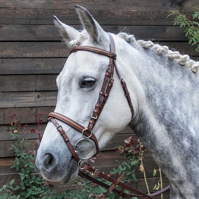 Bridon Sisley T de T