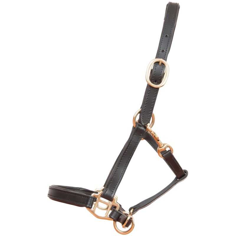 Y&H Foal Slip – Licol En Cuir Pour Poulain, Noir, Taille S – Fabrication Anglaise