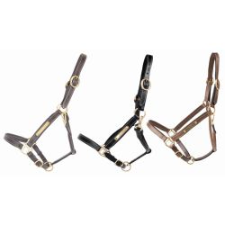 Licol en cuir avec plaque T de T