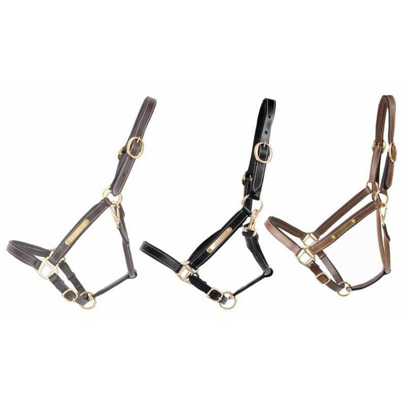 Licol en cuir avec plaque T de T