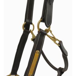 Licol en cuir avec plaque T de T