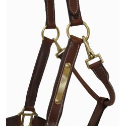 Licol en cuir avec plaque T de T
