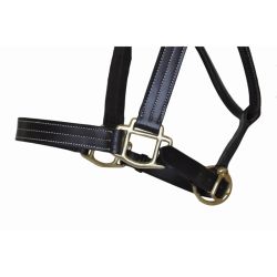 Licol Cuir Triple Couture TdeT