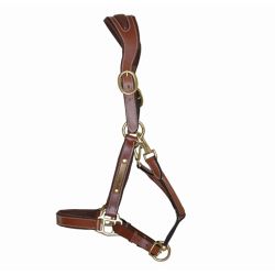 Licol cuir avec plaque T de T